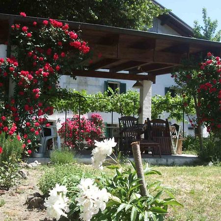 Casa Di Alfredo B&B - Citr9039 Mioglia Extérieur photo